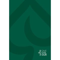 Beírókönyv, PETIT PLUS / TREND, A/4, egyszínű, 96 lapos