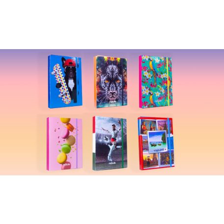Füzetbox, NEBULÓ, karton, A/4, 4 cm gerinccel, 8 mintában