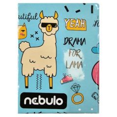   Karton írószertartó, NEBULÓ, négyszögletes, mintás, 6 mintában