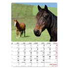 Falinaptár, VALKAY, Ételek