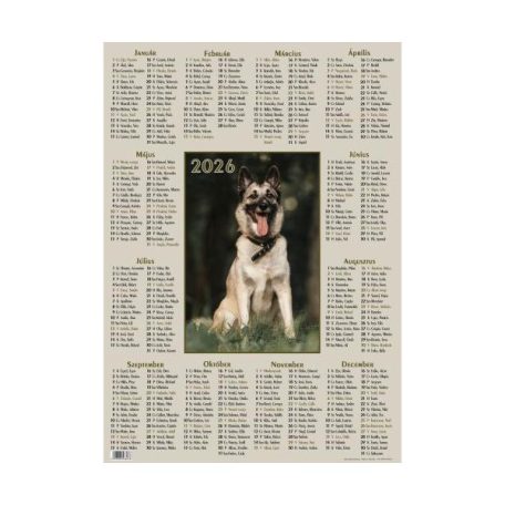 Plakátnaptár, VALK, képes