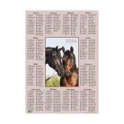 Plakátnaptár, VALK, képes