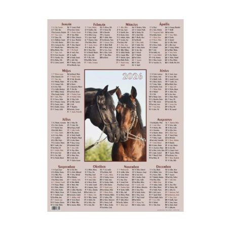 Plakátnaptár, VALK, képes