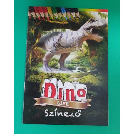 Gyermek színező füzet, STICKERS, vegyes minták